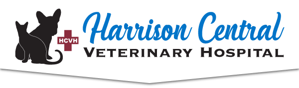 Harrison Central Veterinary Hospital